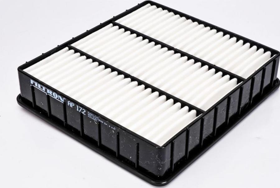 Filtron AP172 — Filtr powietrza