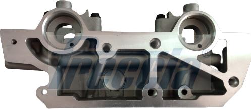 Freccia CH17-1051 - GŁOWICA SILNIKA RENAULT ESPACE 2.2DCI 00-