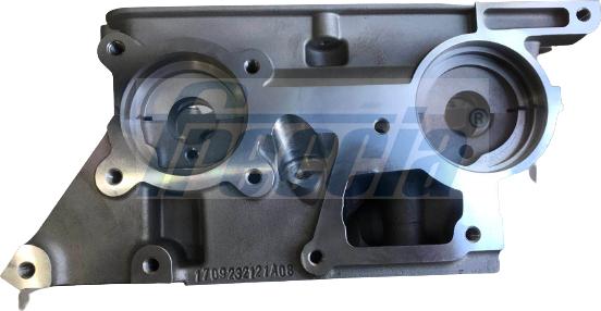 Freccia CH17-1037 - GŁOWICA SILNIKA FORD TRANSIT 2.2TDCI 06-