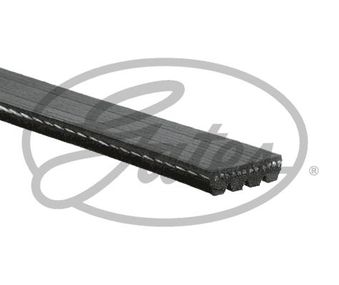 GATES 48342 - Pasek klinowy wielorowkowy