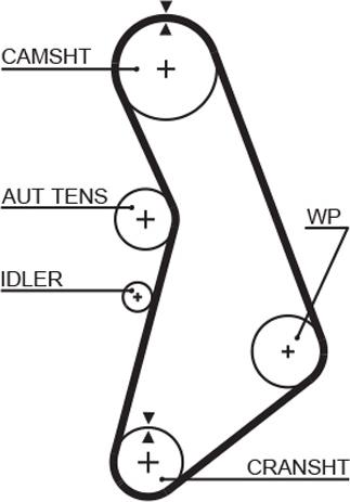 GATES 5491XS — Pasek rozrządu