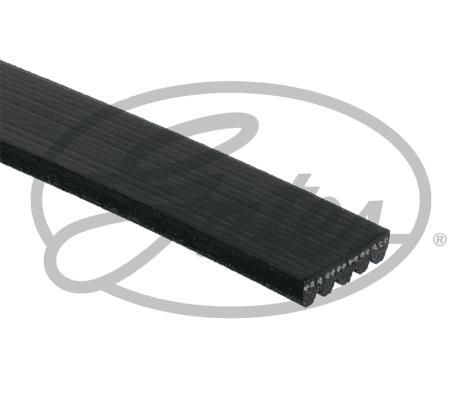 GATES 58355 - Pasek klinowy wielorowkowy wielorowkowy (z rowkami)