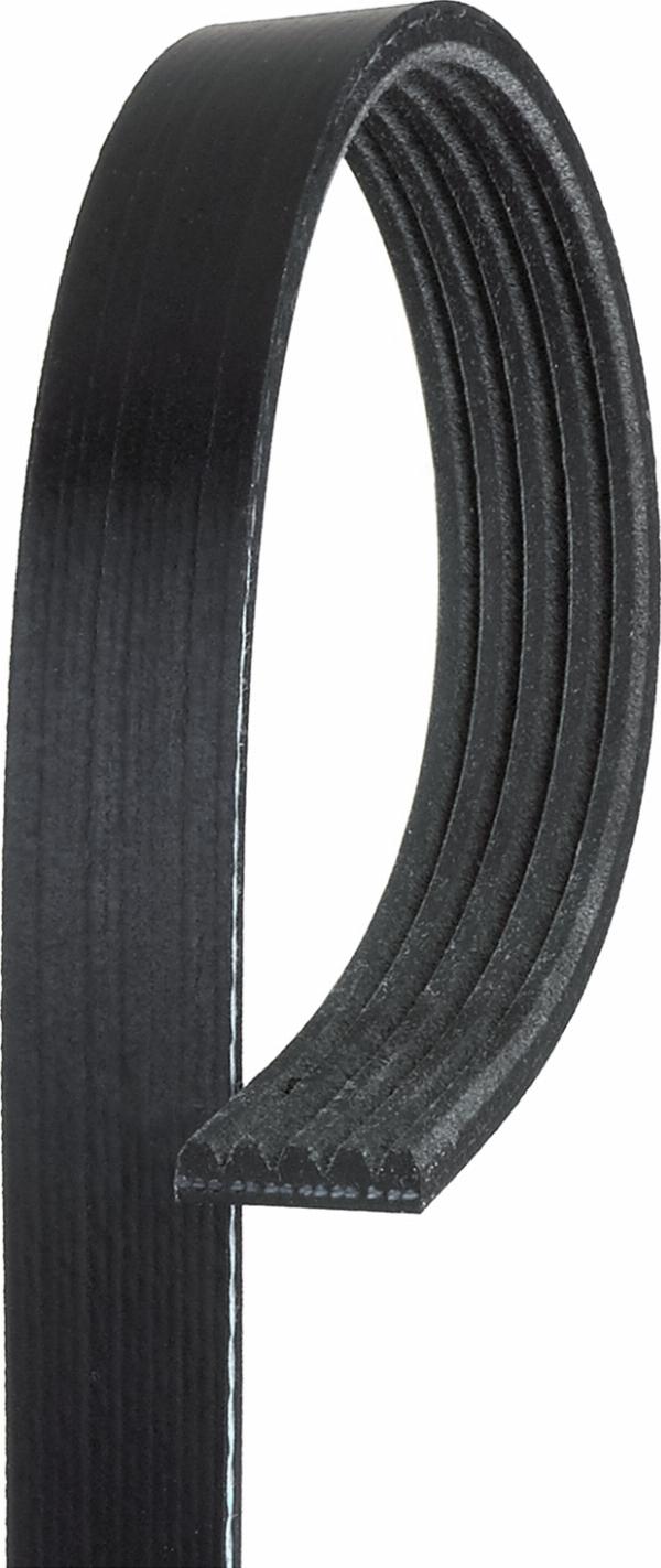 GATES 5PK1525HD — Pasek klinowy wielorowkowy
