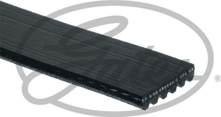 GATES 68363 - Pasek klinowy wielorowkowy