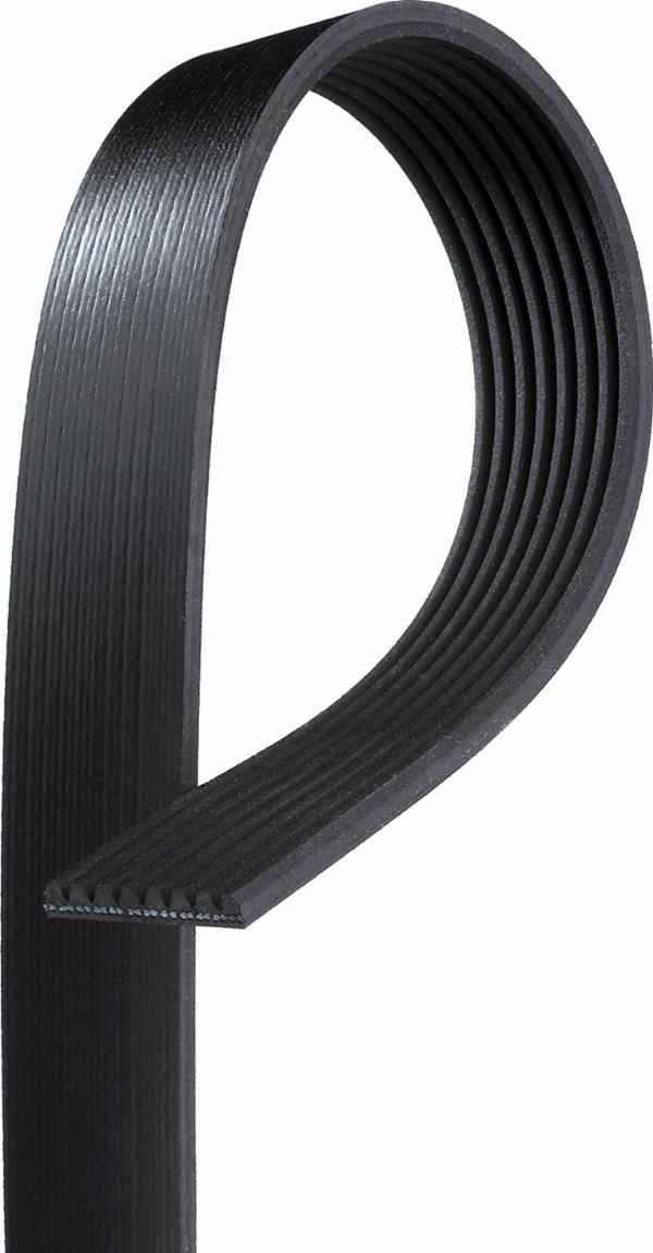 GATES 8PK1020HD - Pasek wielorowkowy