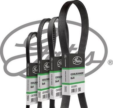 GATES CB0049 - Pasek klinowy pompy wody
