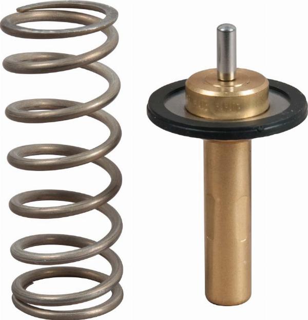 GATES TH51690G1 — Termostat, środek chłodzący