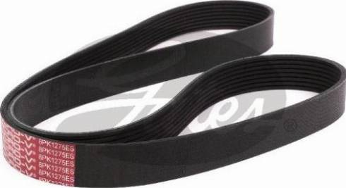 GATES 8PK1275ES — Pasek klinowy wielorowkowy