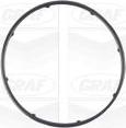 Graf PA1083 - POMPA WODY FIAT 1.3JTD