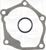 Graf PA1145 - POMPA WODY MITSUBISHI 2.0 16V EVO 2.4 OUTLANDER