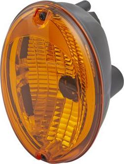 HELLA 2BA 343 130-051 - Lampa kierunkowskazu