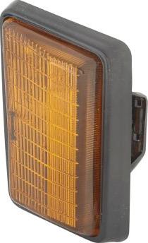 HELLA 2BM 004 312-061 - Lampa kierunkowskazu