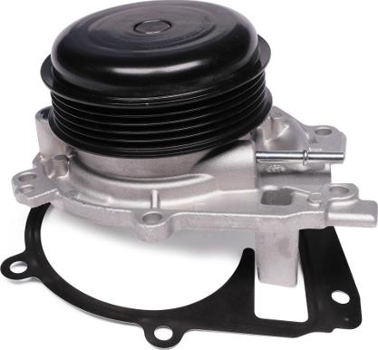 Hepu P1579 — Pompa wodna