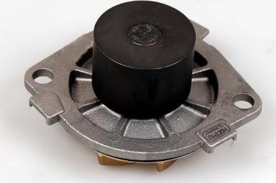 Hepu P1053 — Pompa wodna
