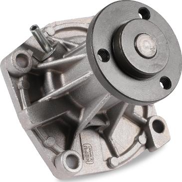 Hepu P1081 — Pompa wodna