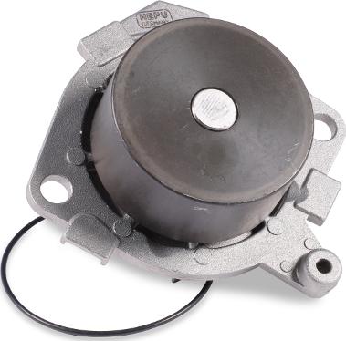 Hepu P1087 — Pompa wodna