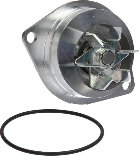 Hepu P891 — Pompa wodna