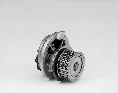 Hepu P318 — Pompa wodna
