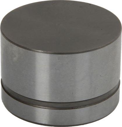 INA 420 0042 10 — Popychacze zaworowe