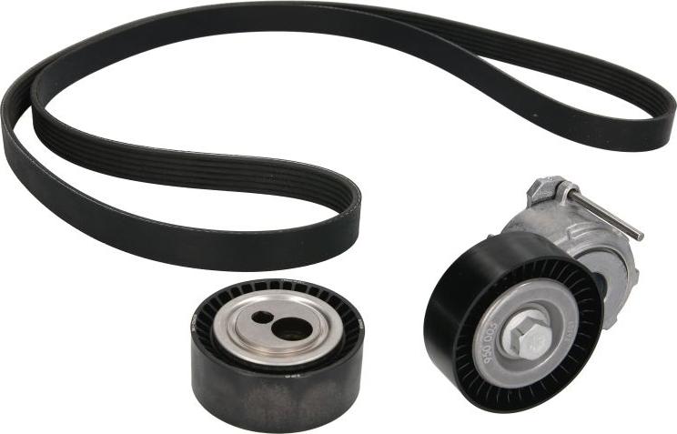INA 529 0017 10 - ZESTAW PASKA WIELOROWK. CITROEN 2.0HDI FIAT-PEUGEOT