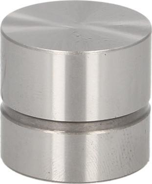 Kolbenschmidt 50007620 — Popychacze zaworowe