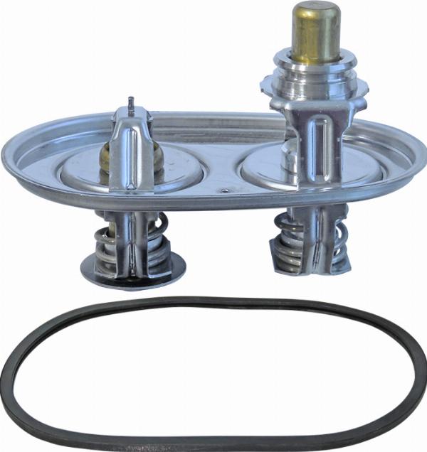 LEMA 425487 — Termostat, środek chłodzący
