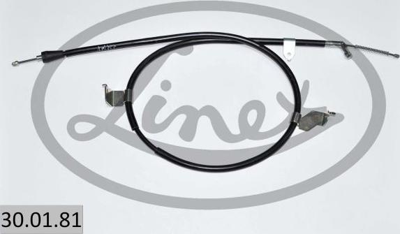 Linex 30.01.81 — Cięgło, hamulec postojowy