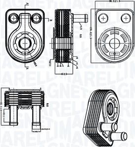 Magneti Marelli 350300005500 — Chłodnica oleju, olej silnikowy