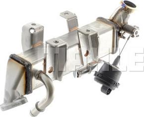 MAHLE CE 19 000P - CHŁODNICA ZAWORU EGR RENAULT 2.0DCI-2.3DCI ESPACE IV-LAGUNA III-MASTER III