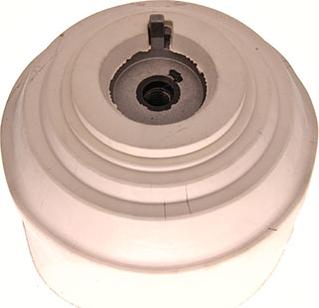 Maxgear 40-0366 - PODUSZKA SIL. DB W211