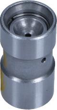 Maxgear 17-0154 - POPYCHACZ ZAWORU VW LUPO