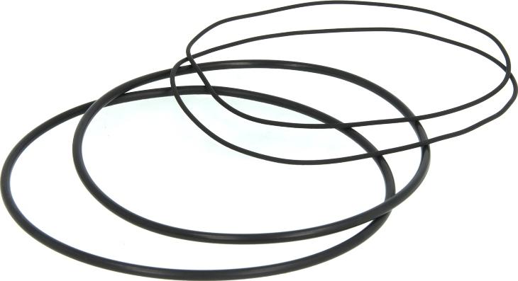 Payen HL5191 — Zestaw uszczelek, tuleja cylindra