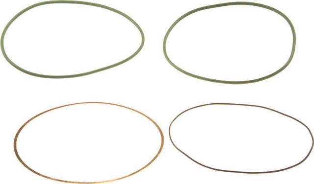 Payen HT018 — Zestaw uszczelek, tuleja cylindra