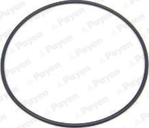 Payen LA5236 — Uszczelka, tuleja cylindra