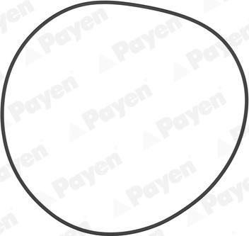 Payen PA708 — Uszczelka, tuleja cylindra