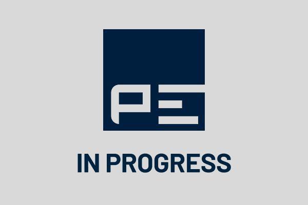 PE Automotive 080.025-00A - Pasek wielorowkowy