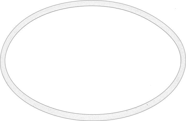 PSA 1531.49 - USZCZELKA POMPY PALIWA CITROEN C4- PEUGEOT 3008 07-