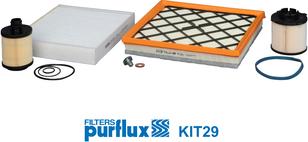Purflux KIT29 - Zestaw do przeglądu okresowego