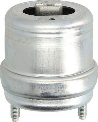 REINHOCH RH11-0054 — Łożyskowanie silnika