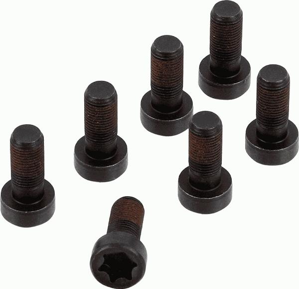 SACHS 1874 000 083 - Zestaw śrub koła zamachowego