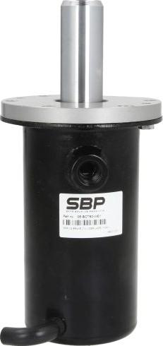 SBP 05-BCT50-W01 — Siłownik sprężynowy