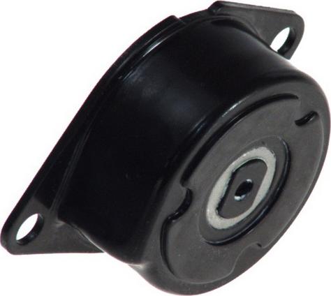 SKF VKM 31030 - NAPINACZ PASKA WIELOROWK. VW1.9TD