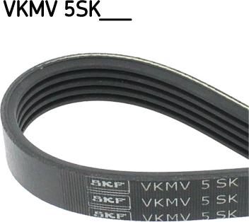 SKF VKMV 5SK595 — Pasek klinowy wielorowkowy