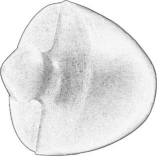 S-TR STR-1201246 — Dystans gumowy, resorowanie