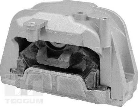 Tedgum TED98366 — Łożyskowanie silnika