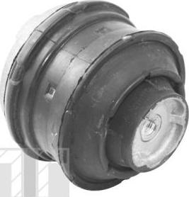 Tedgum TED81021 — Łożyskowanie silnika