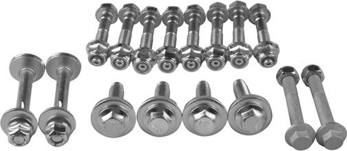 Tedgum TED25861 - ZESTAW ŚRUB WAHACZA FORD T. GALAXY-MONDEO-S-MAX 06-