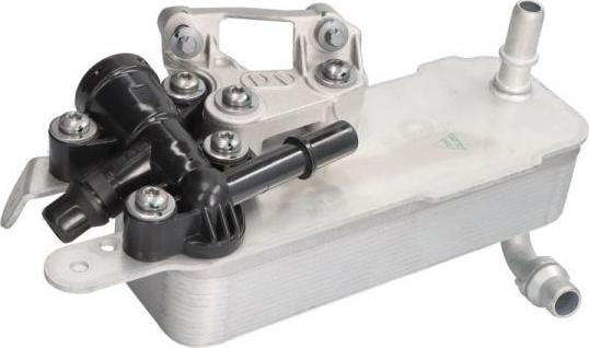 Thermotec D4B041TT — Chłodnica oleju, olej silnikowy