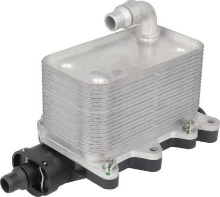 Thermotec D4B037TT — Chłodnica oleju, olej silnikowy