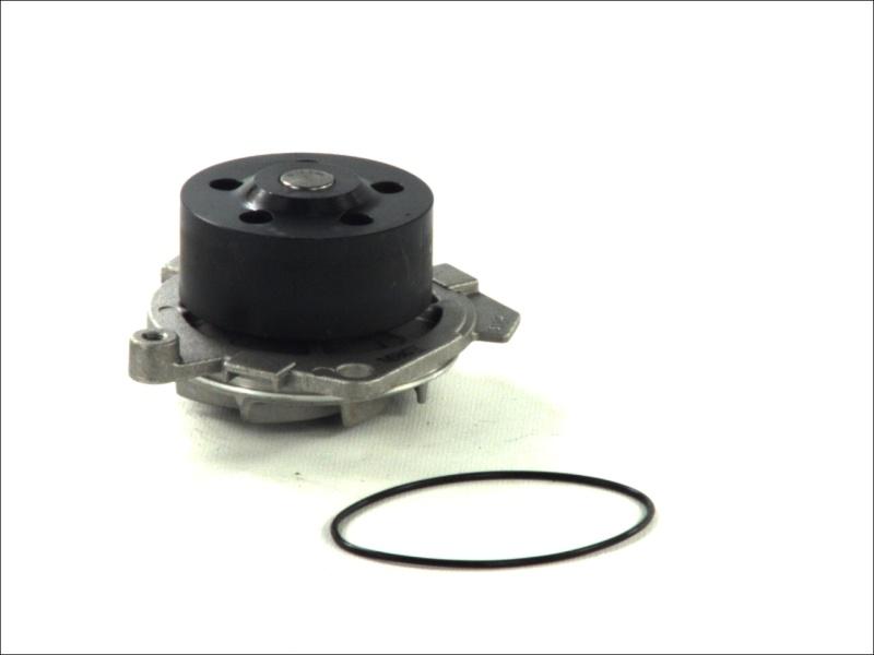 Thermotec D1D019TT — Pompa wodna